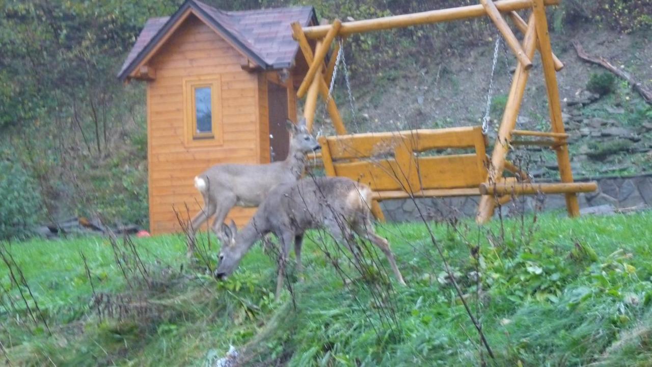 Domki Czyrna Szczyrk Exteriör bild